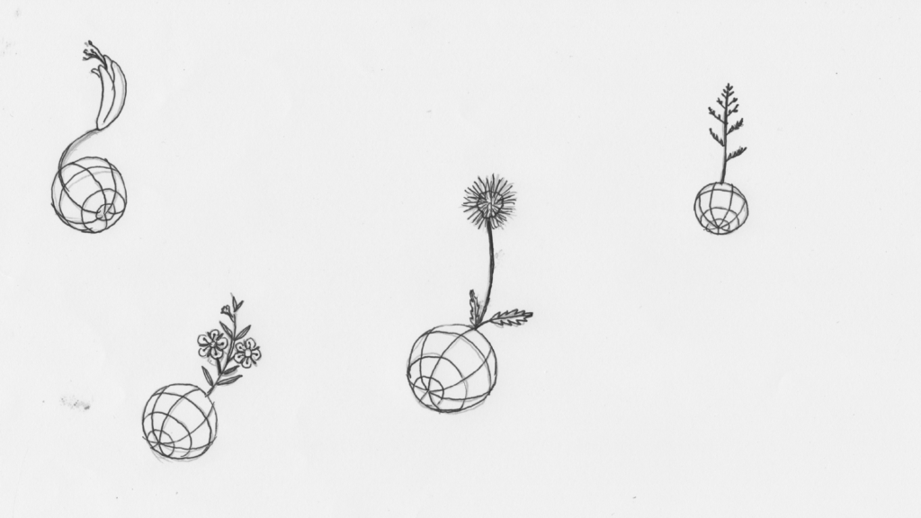Left Of The Equator logo initial sketches showing several globes with different flowers and plants growing out of them