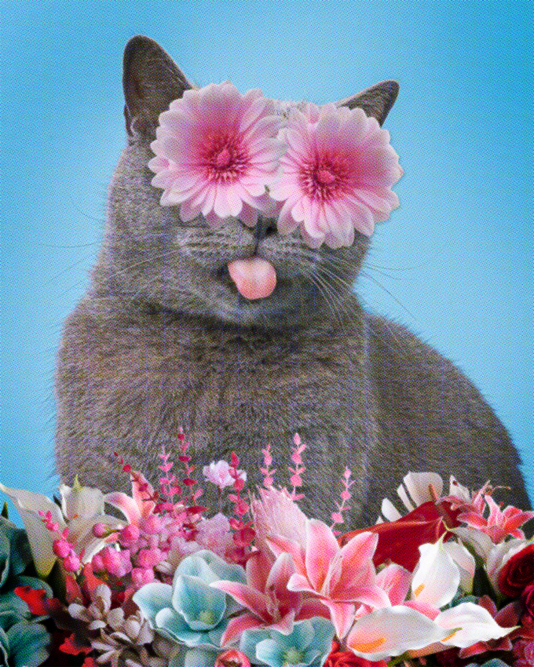 A portrait of a cat with its tongue sticking out. The cat’s eyes are covered with flowers and there is a colourful jumbled flower arrangement at the bottom of the composition.